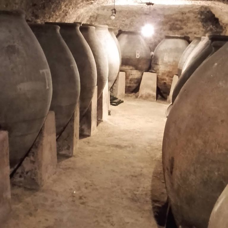 bodega cristian 2 768x768