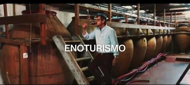 enoturismo jesus diaz 768x343