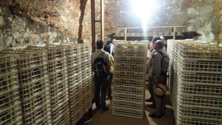 CUEVA CIRIACO 2 768x432