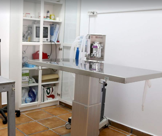 clínica veterinaria colmevet 2