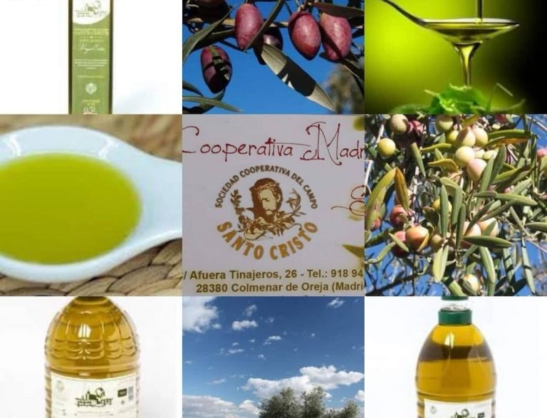 cooperativa del campo cristo 1 768x587