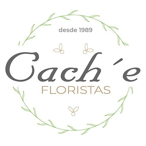 logo cache